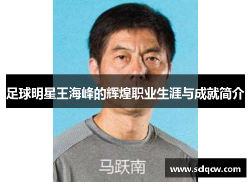 足球明星王海峰的辉煌职业生涯与成就简介